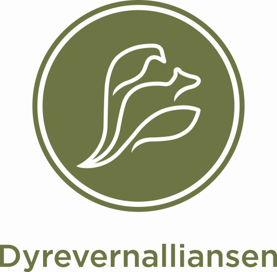 Logo Dyrevernalliansen Positiv RGB-kopi.png